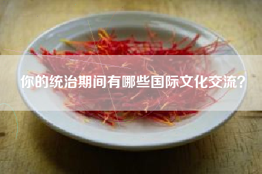 你的统治期间有哪些国际文化交流？  第1张
