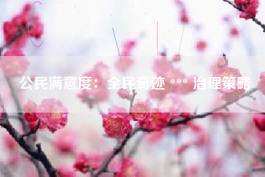 公民满意度：全民奇迹 *** 治理策略  第1张