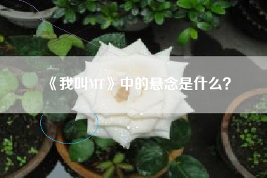《我叫MT》中的悬念是什么？  第1张