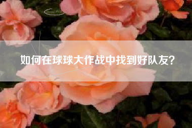 如何在球球大作战中找到好队友？  第1张