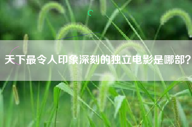 天下最令人印象深刻的独立电影是哪部？  第1张