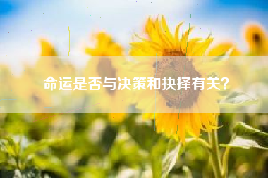 命运是否与决策和抉择有关？  第1张
