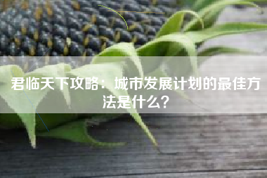 君临天下攻略：城市发展计划的最佳方法是什么？  第1张
