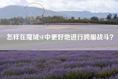 怎样在魔域SF中更好地进行跨服战斗？  第1张