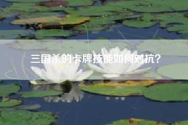 三国杀的卡牌技能如何对抗？  第1张