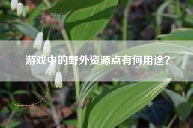 游戏中的野外资源点有何用途？  第1张