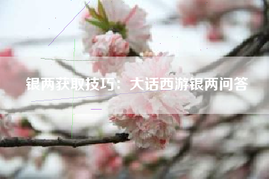 银两获取技巧：大话西游银两问答  第1张
