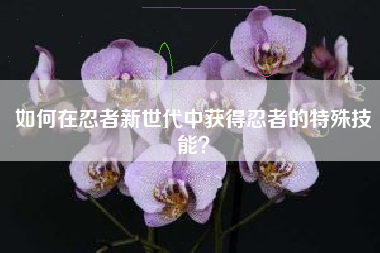 如何在忍者新世代中获得忍者的特殊技能？  第1张