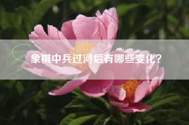 象棋中兵过河后有哪些变化？  第1张