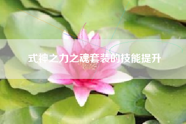 式神之力之魂套装的技能提升  第1张