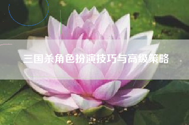 三国杀角色扮演技巧与高级策略  第1张