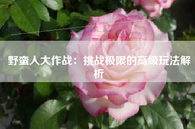 野蛮人大作战：挑战极限的高级玩法解析  第1张