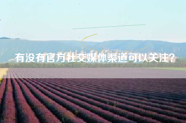 有没有官方社交媒体渠道可以关注？  第1张