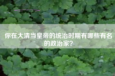 你在大清当皇帝的统治时期有哪些有名的政治家？  第1张