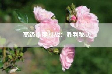 高级难度挑战：胜利秘诀  第1张