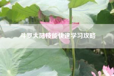 斗罗大陆技能快速学习攻略  第1张