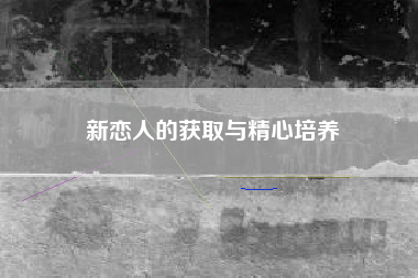 新恋人的获取与精心培养  第1张
