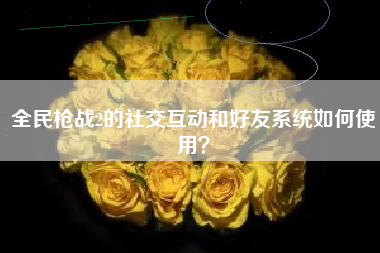 全民枪战2的社交互动和好友系统如何使用？  第1张