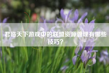 君临天下游戏中的联盟资源管理有哪些技巧？  第1张
