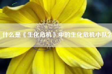什么是《生化危机》中的生化危机小队？  第1张