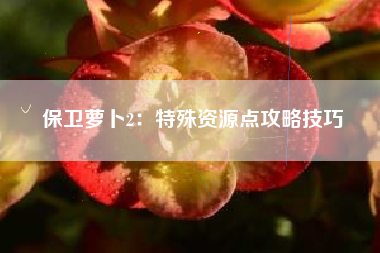 保卫萝卜2：特殊资源点攻略技巧  第1张