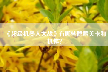 《超级机器人大战》有哪些隐藏关卡和机体？  第1张