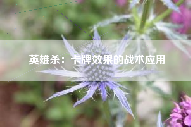 英雄杀：卡牌效果的战术应用  第1张