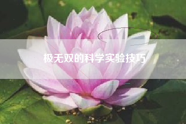 极无双的科学实验技巧  第1张