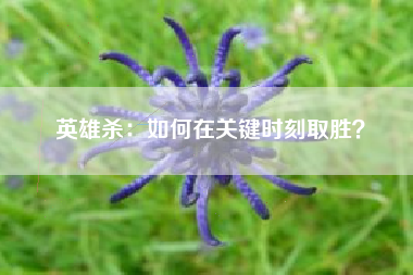 英雄杀：如何在关键时刻取胜？  第1张