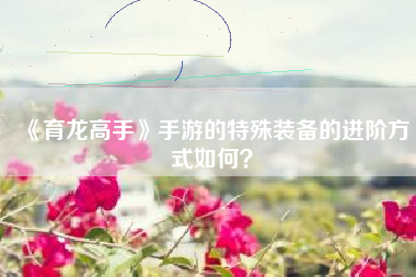 《育龙高手》手游的特殊装备的进阶方式如何？  第1张