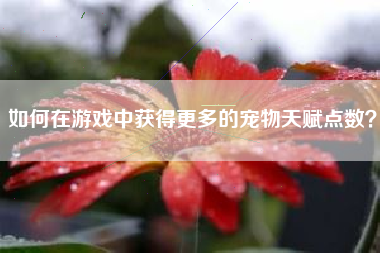 如何在游戏中获得更多的宠物天赋点数？  第1张