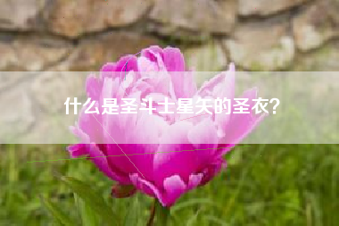 什么是圣斗士星矢的圣衣？  第1张