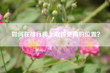 如何在排行榜上取得更高的位置？  第1张