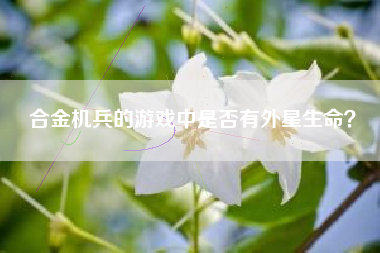 合金机兵的游戏中是否有外星生命？  第1张