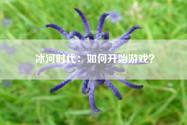 冰河时代：如何开始游戏？  第1张