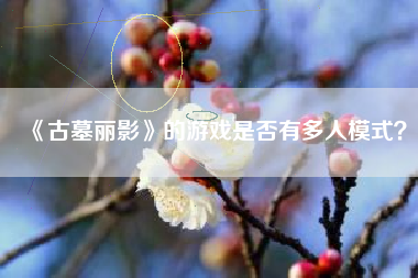 《古墓丽影》的游戏是否有多人模式？  第1张