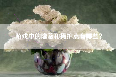 游戏中的隐蔽和掩护点有哪些？  第1张