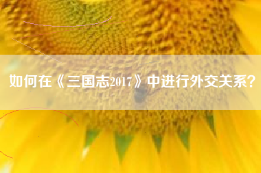 如何在《三国志2017》中进行外交关系？  第1张
