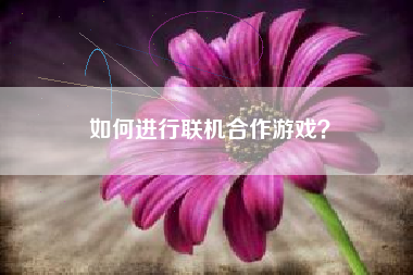 如何进行联机合作游戏？  第1张