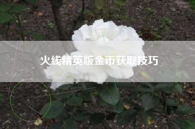 火线精英版金币获取技巧  第1张