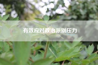 有效应对政治派别压力  第1张