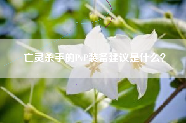 亡灵杀手的PvP装备建议是什么？  第1张