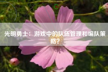 光明勇士：游戏中的队伍管理和编队策略？  第1张