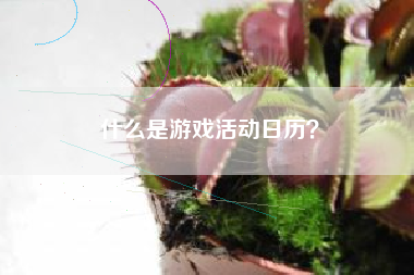 什么是游戏活动日历？  第1张