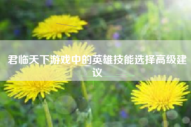 君临天下游戏中的英雄技能选择高级建议  第1张