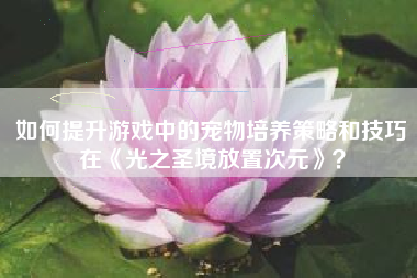 如何提升游戏中的宠物培养策略和技巧在《光之圣境放置次元》？  第1张