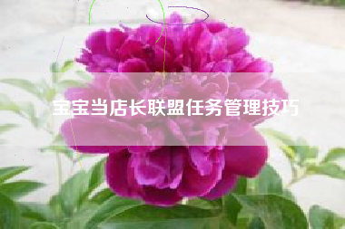 宝宝当店长联盟任务管理技巧  第1张