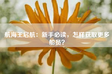 航海王启航：新手必读，怎样获取更多船员？  第1张