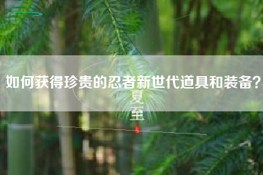 如何获得珍贵的忍者新世代道具和装备？  第1张