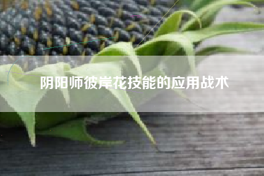 阴阳师彼岸花技能的应用战术  第1张